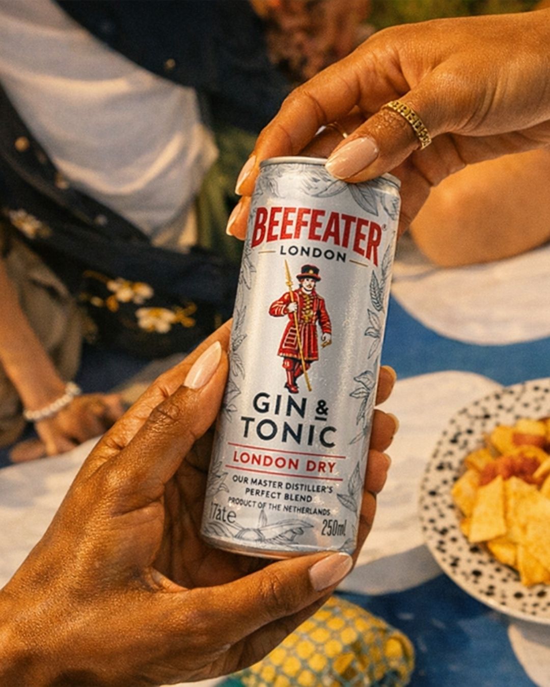 Beefeater Cocktail GinTonic - Imagen 3